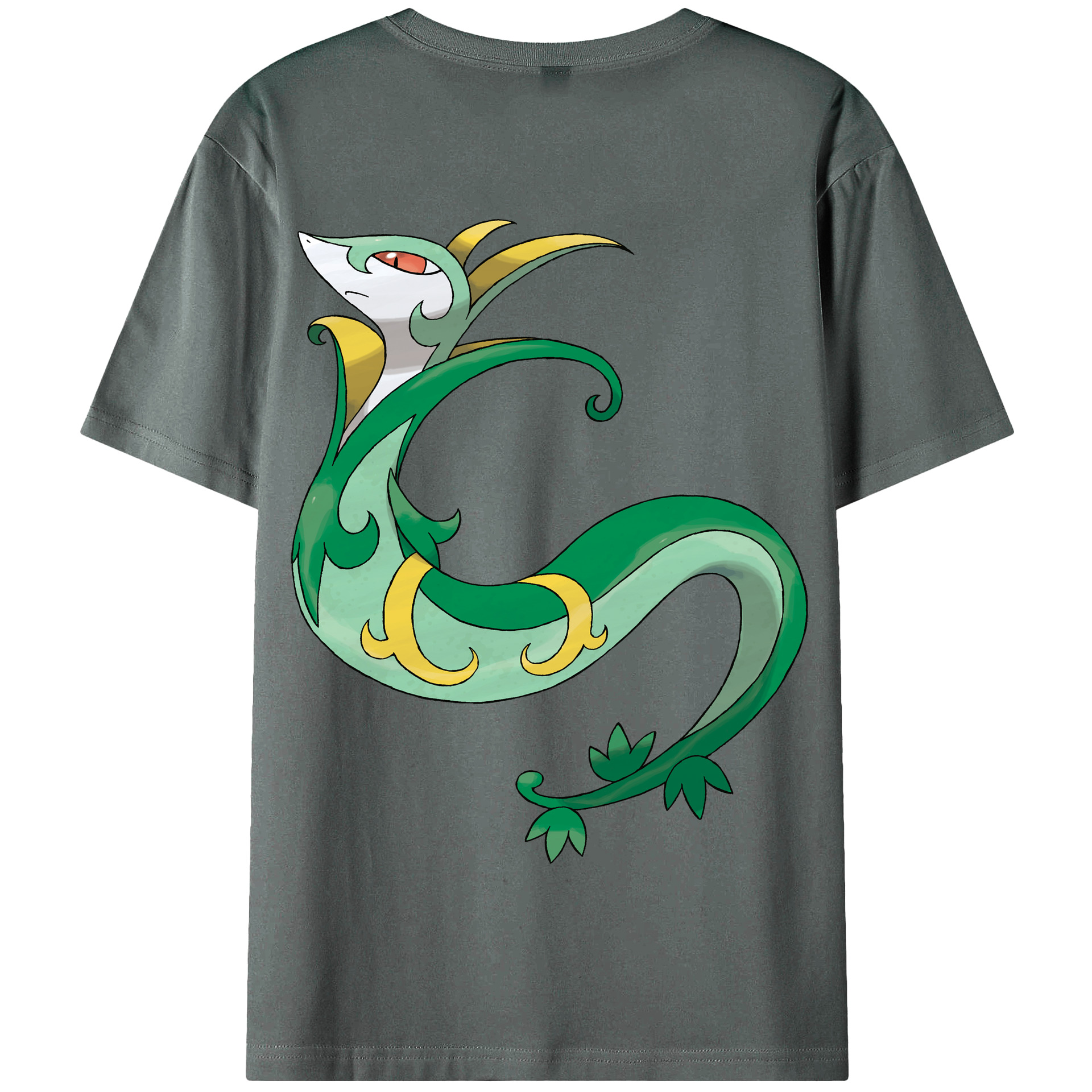 （画像用） ポケットモンスター Pokémon 綿100％半袖Tシャツ（背面プリント）